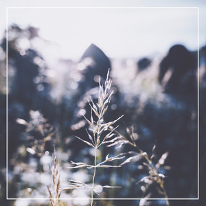 空姐与黑人做爱视频
