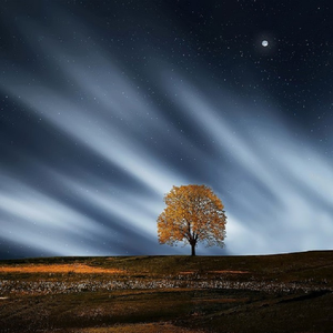 空姐与黑人做爱视频
