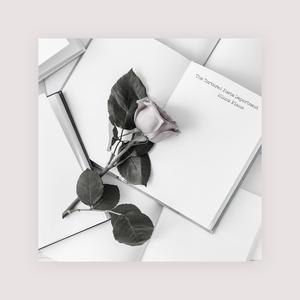 空姐与黑人做爱视频
