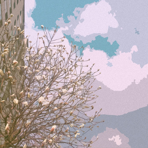 空姐与黑人做爱视频
